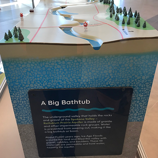 Seasonal shifts exhibit